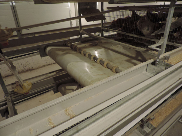 層疊式蛋雞籠養(yǎng)養(yǎng)雞設(shè)備